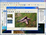 Images